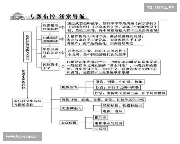 探析胡友平与其背后社会结构的深层联系：权力、家族与经济的博弈