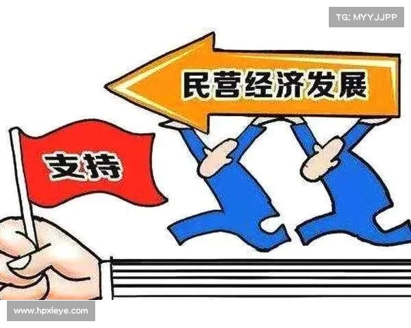 民营经济信心危机：专家为何忽视背后的简单真相？(民营经济之声)